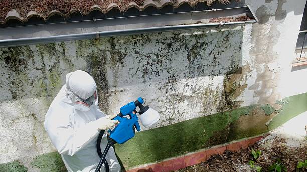 Trusted Mold Testing service in Brookeville, MD - Cheap Mold Removal